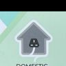 Domestic Developments