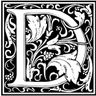 Domus construction ltd