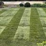 JH landscapes
