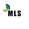 MLS