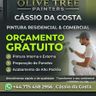 Olive Tree Painters