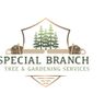 Special branch
