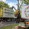 Rosethorn tree service