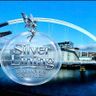 Silver Lining Cleaning Services