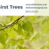 Elmhirst Trees