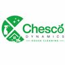CHESCO DYNAMICS LTD