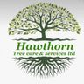 Hawthorn tree care and services ltd