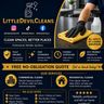 Little devil cleans