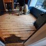 Ark-ex hardwood flooring sander