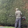 JSW Garden services