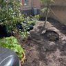 BL landscape gardener
