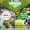 A.Pro tree & landscaping
