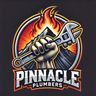 Pinnacle plumber LTD