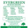 Evergreen tree care and gardening services