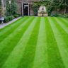 Green stripe