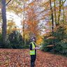 Roots Tree Surgeons