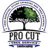 Procut tree and landscaping