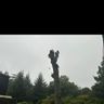 Johnson Tree Services