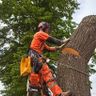 A Howard & Sons Tree and Landscaping