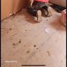 Plasterer