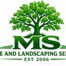 MS tree and landscaping services
