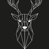 Stag Painting and Decorating Ltd