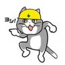 Nimble Cat Handyman Services