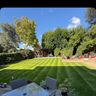 LT Gardening services