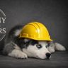 Company of builders ltd
