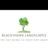 Blackthorn landscapes
