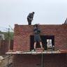 Aaron Smith Construction Limited