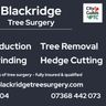 Blackridge Tree Surgery Ltd