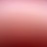 F & B painting & decorating services
