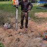 urban tree arborists