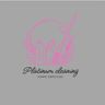 Platinum Cleaning Services