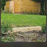 Callum stephens
