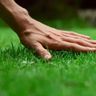 DL Garden Services