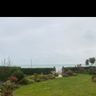 Thanet Garden Services