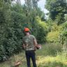 MSR property maintenance