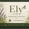 Ely