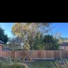 Saplings Landscape Gardening