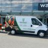 Tree surgeon hedge cutting