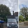 Arbutus tree surgeons