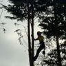 GK Arb Services
