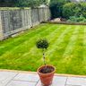 M&L Gardening Services