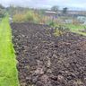 Hungerford Gardening and Maintenance