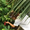 ThePlantDoctor