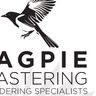Magpie plastering service