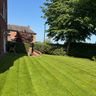 K Landscaping tree services