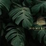 Homebuild Solutions (UK) Ltd.